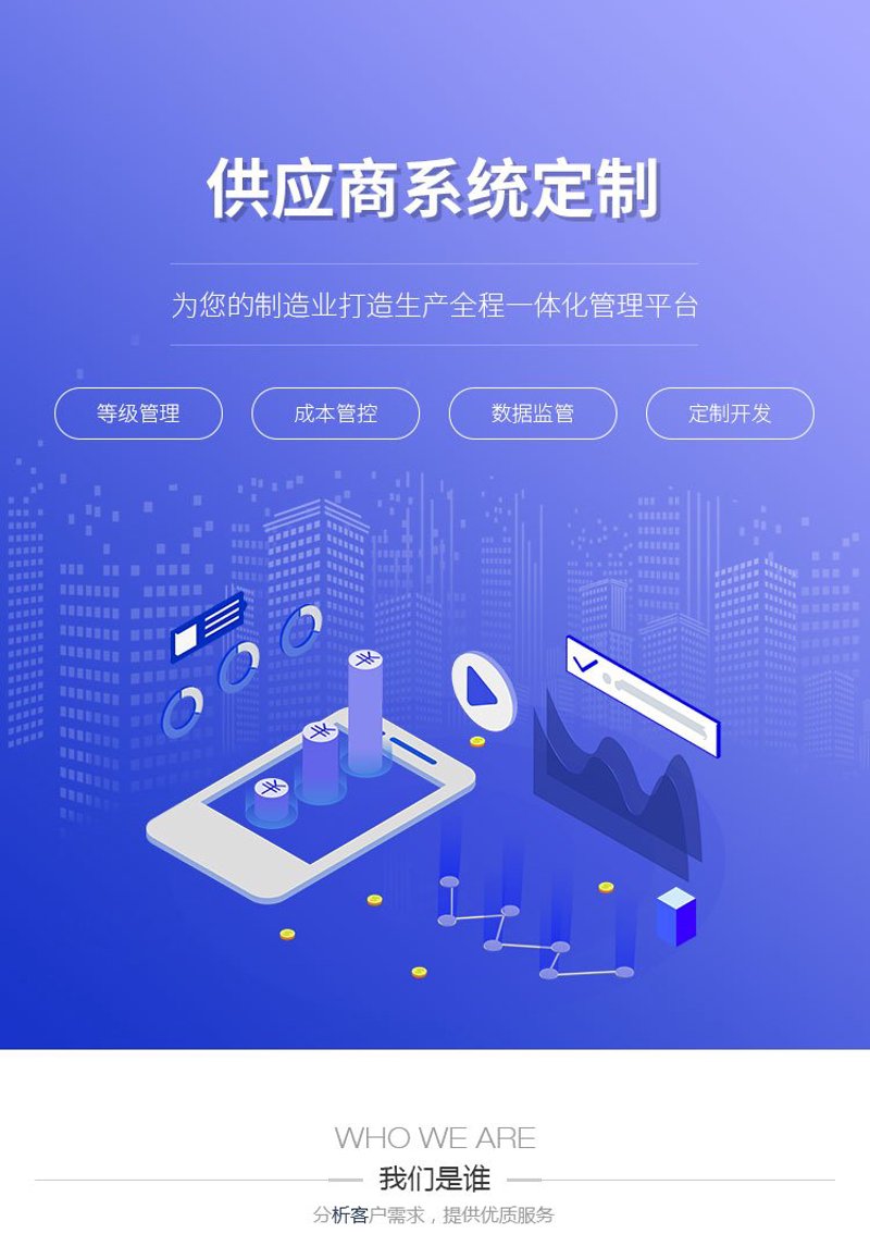 系统定制：打造属于你的个性化软件解决方案